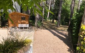 Maison Sapinettes